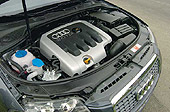 Forr�s: Aut�-Motor