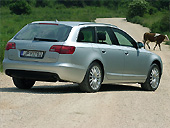 Forr�s: Aut�-Motor