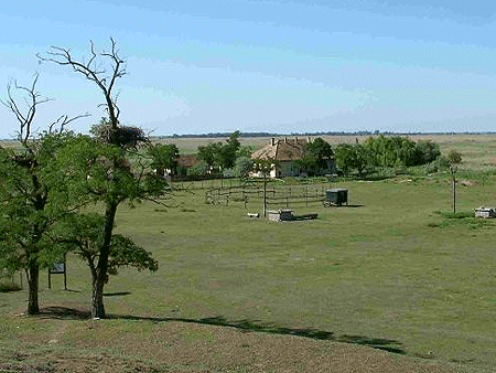 Forr�s: [origo]