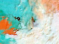 Forr�s: [origo]