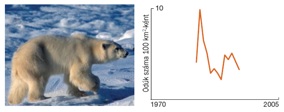 Forr�s: WWF