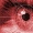 Forr�s: [origo]