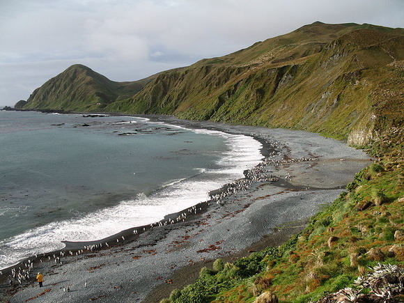Forr�s: Wikimedia C.