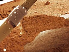 Forr�s: NASA, JPL, UA, Max Planck