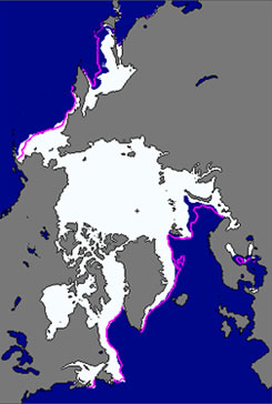 Forr�s: NSIDC