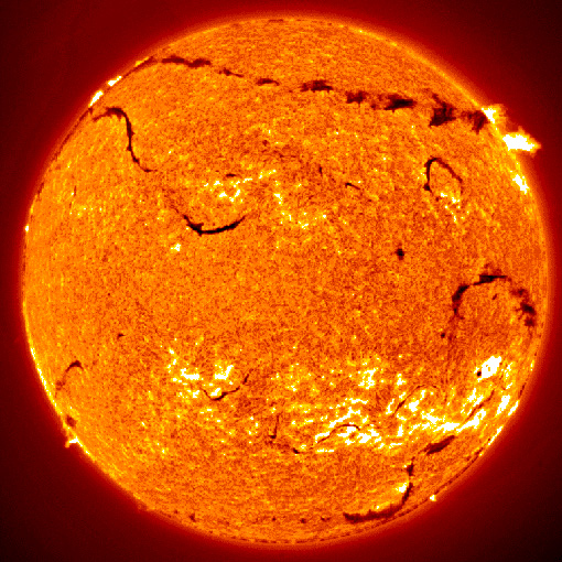 Forr�s: NASA