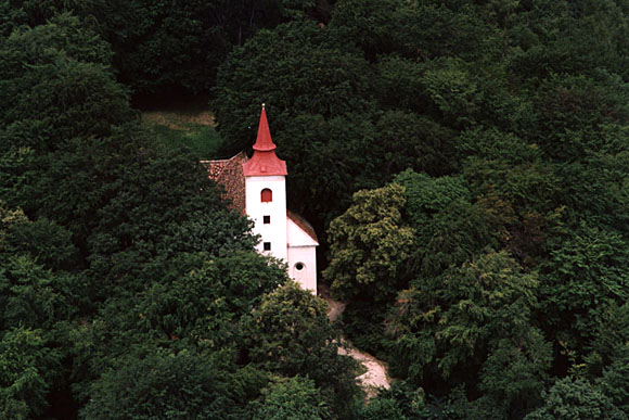 Forr&aacute;s: [origo]