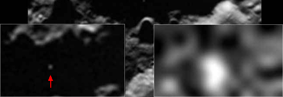 Forr�s: NASA