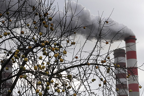 Forr�s: AFP