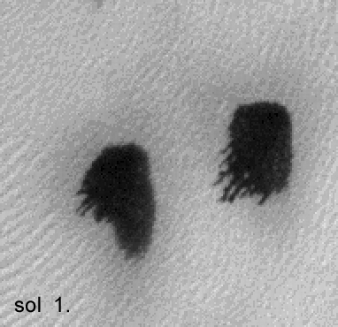 ForrA!s: Colbud-MAG, NASA, JPL, UA