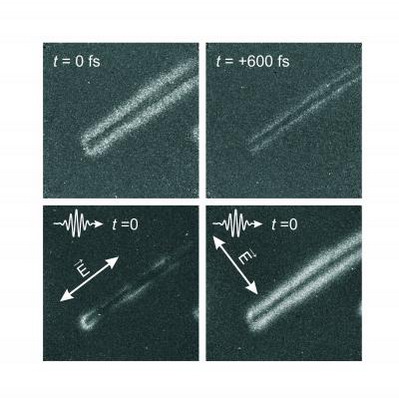 Forr�s: Caltech
