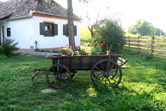 Forrás: kokastanya.atw.hu Forrás: kokastanya.atw.hu