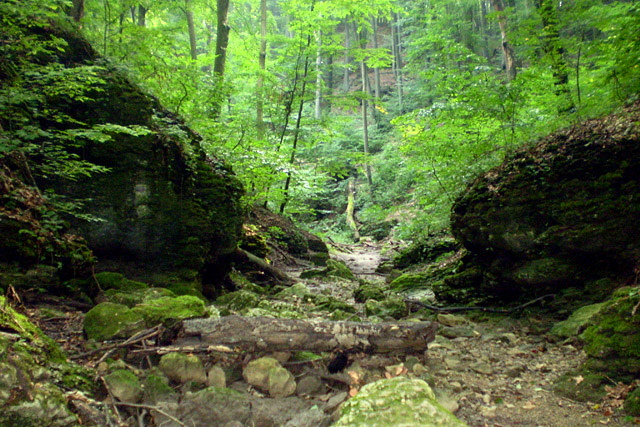 Forr�s: [origo]