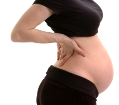 Forr�s: iStockphoto.com