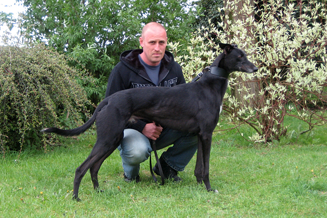 Forr�s: Tenczel G�bor
