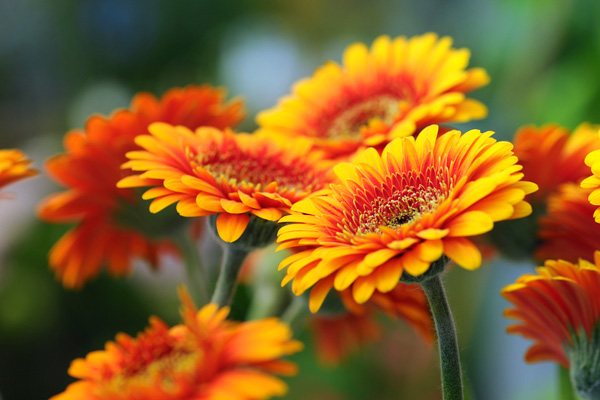 Thinkstock Thinkstock