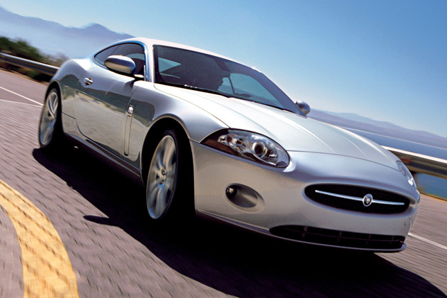 Forr�s: Jaguar