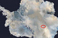 Forr�s: NASA