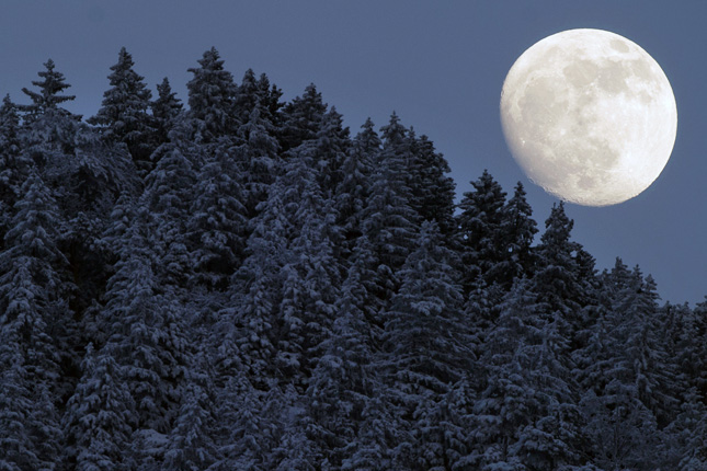Forr�s: AFP/Johannes Eisele