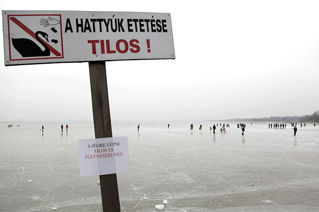 Forrás: MTI/Turcsi Gábor Forrás: MTI/Turcsi Gábor