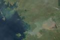 Forr�s: NASA